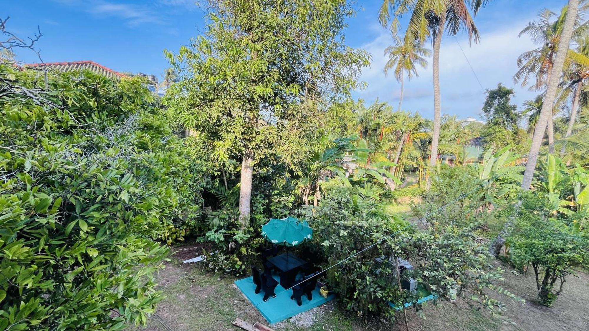 Jilan Homestay Бентота Екстериор снимка